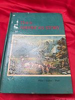 Front cover showing title, authors and illustration