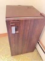 Front view of Panasonic compact fridge showing wood-grain door and handle logo