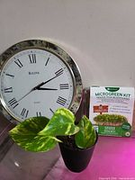 All three items together: pothos plant, Bulova wall clock, UgroGreens microgreen kit