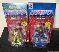 Front view showing both sealed Snake Teela and Skeletor figures