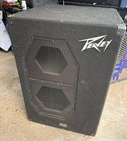 Full front view of Peavey RBS2 cabinet showing dual grilles and overall condition