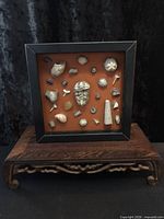 framed fossil collection on wooden stand, front view