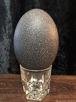 Full side view of speckled emu eggshell on glass stand