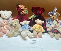 Group shot of all nine teddy bears lined on white cloth