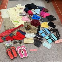 Entire lot laid out showing gloves, scarves, hats, sandals, purses, accessories