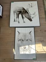 Both framed wildlife prints on floor showing relative sizes and frames