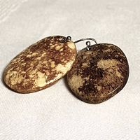 front view of both yak bone earrings showing coloration and shape