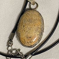 Front view of oval picture jasper pendant on black cord showing stone and silver bezel