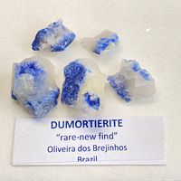 All five dumortierite specimens with label