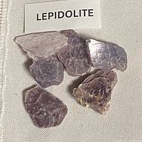 Seven Lepidolite pieces on fabric with label