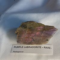 Front view showing iridescent purple flash and rough top edge