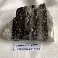 Front view showing zebra banding and label