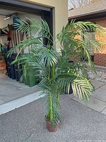 Full view of artificial palm tree, showing height and fronds