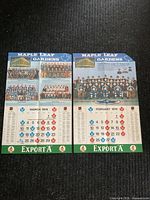 Both 1974 Maple Leaf Gardens calendar posters side by side