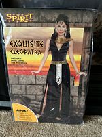 Front of packaged Spirit Exquisite Cleopatra costume