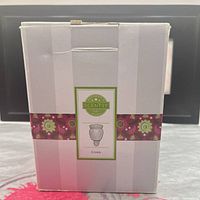 Front of boxed Scentsy Crinkle nightlight warmer