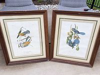 Both framed bird prints side by side