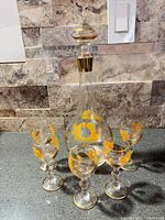 Full view of decanter with stopper and five glasses showing design