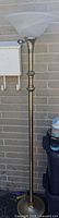 Full view of brass floor lamp standing upright