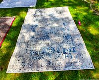 Full view of rug showing overall pattern and color