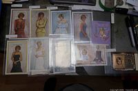 Overview of nine Princess Diana stamp sheets in plastic sleeves on desk