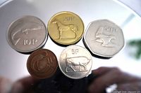 Obverse animal side of all five coins showing denominations