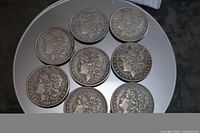 Eight Morgan dollar copy coins obverse view