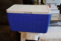 Overall view of blue and white Coleman cooler