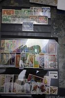 Overview of three stock cards showing all stamps in lot