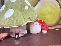All four mushroom items together to show variety and relative sizes