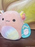 Front view showing Archie’s face, belly pattern and original Squishmallows tag