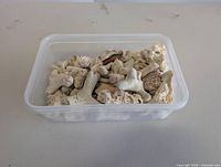 Top view of container filled with assorted coral fragments
