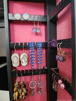Organizer interior showing multiple earring pairs on slotted racks