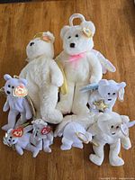 Front view of entire lot showing two standard and six mini angel bears