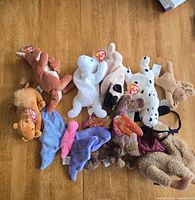 Group shot of all nine Beanie Babies spread on table