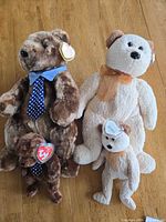Front view of all four bears showing size difference, colors, ties, bows, and Ty swing tags