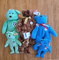 All six bears grouped to show colours, sizes, tags