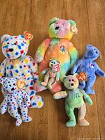 Group shot of all six TY Beanie Baby bears on tabletop.