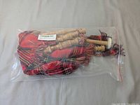 Bagpipes sealed in plastic bag, showing overall contents