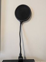 Full view of pop filter mounted vertically showing gooseneck and clamp