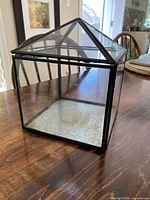 Front view of glass terrarium showing overall shape and silver base