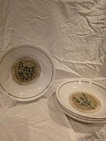 Stacked set of four Savory Tyme pasta bowls showing pattern and rim