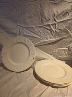 Front view of all four plates, pattern visible