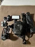 Full kit laid out: camera with lens, 75-300 mm lens, LED panel, tripod, bags, batteries, charger, strap