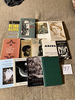 Group shot of all 13 poetry books laid out on carpet