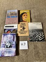 Front covers of all six books arranged on carpet