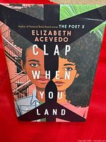 Front cover showing title, author, artwork