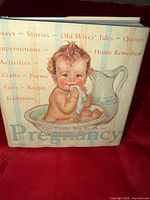 Front cover of The Little Big Book of Pregnancy showing title, baby illustration, and thematic text list