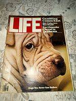 Front cover showing title, date, price, dog image and headlines