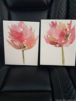 Both canvases front view